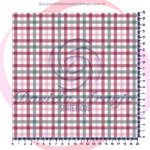 XADREZ MADRAS 25031 - 9
