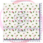 URSA ROSA 58975 - 1