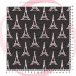 BONJOUR PARIS 50302 - 3