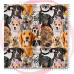 CACHORRO 5462 - 1