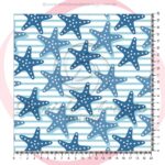 ESTRELA 22221 - 2