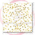 ESTRELA 22258 - 1