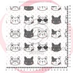 GATO 6091 - 1