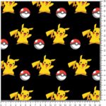 POKEMON - 101-12